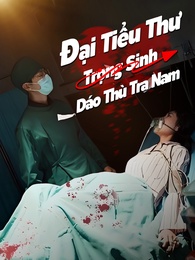 Đại Tiểu Thư Trọng Sinh Báo Thù Tra Nam