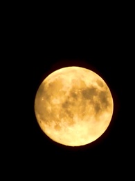 第33話 - はい 私の旦那は富豪です