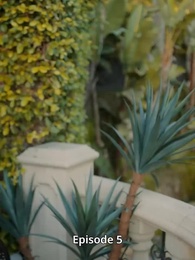 Episode 5 - Rückkehr der geschiedenen Erbin