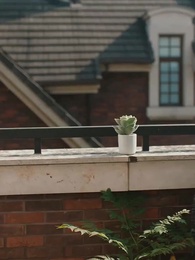 Cinta Lama Bersemi Kembali - Episode 77