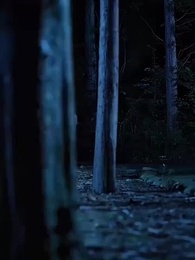 第1話 - 神からの贈り物～福禄寿！