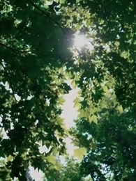 Episode 61 - [Synchron] Die Unerwünschte Braut des Atticus Fawn