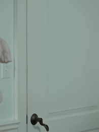 Episodio 40 - [Doblado] La Novia Sustituta