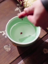 第67話 - 王妃は名医？神秘の医術を受け継ぐ者