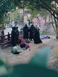 第25集 - 許我春朝應白首