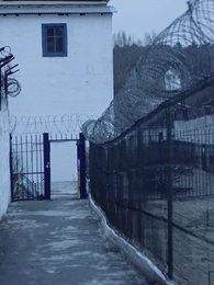 Episode 52 - The Mafia's Mistaken Lover