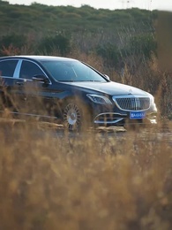 Episode 11 - The Savior