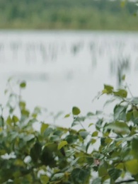 Rejected Slave Meets Her Alpha - Episode 57