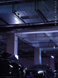 Episode 14 - The Day You Brought the Sun