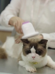 Episode 9 - Verdorben für meinen eisigen Milliardär