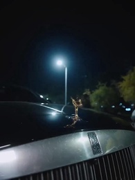 Episode 43 - Late-life Love