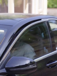 Episódio 11 - Alfa, Não Me Ama