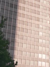 Alfa, Não Me Ama - Episode 65