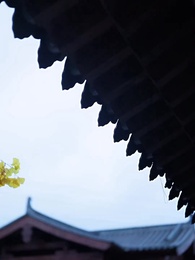 風に乗せた想い - Episode 18