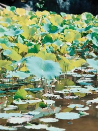 愛されない私 悪役の元へ - Episode 16