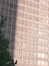 Alpha, liebe mich nicht! - Episode 65