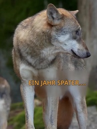 Alpha, liebe mich nicht! - Episode 3