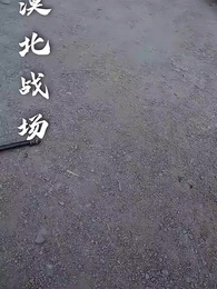 第1集 - 平亂未料君心亂