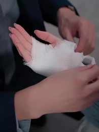 Episode 50 - Unmasking the Substitute Model