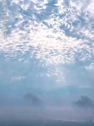 第34集 - 歲歲年年皆如願