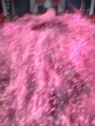 第19集 - 且聽鳳鳴