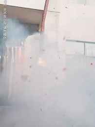 第1集 - 歲歲年年皆如願