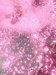 第12集 - 且聽鳳鳴