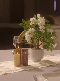 Mi Alfa Se Enamoró de Mí - Episode 51