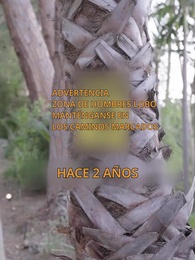 Episodio 26 - Mi Alfa Se Enamoró de Mí