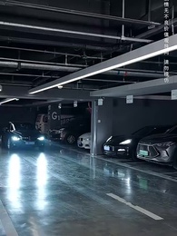 第22集 - 心無靈犀愛別離