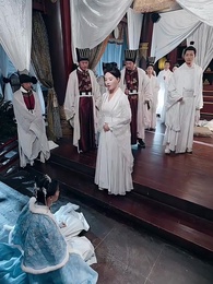 第19集 - 醫妃風華