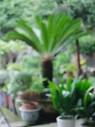 我家香爐通古今 - Episode 14