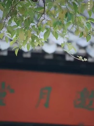 天降萌妻有點野 - Episode 1