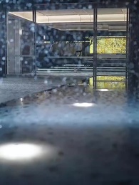 第16集 - 匿愛肆欲