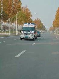 第13集 - 寸草無心報春暉