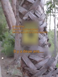 Alpha, garde vos distances! - Episode 26