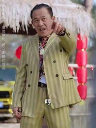 第6集 - 天降老公陪我回家過年