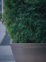 我拿蟠桃報母恩 - Episode 42