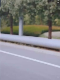 第4集 - 錦鯉萌寶助我成傳奇