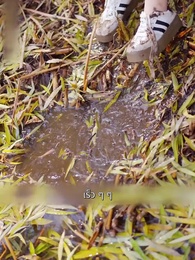 ตอนที่ 42 - คืนรักจากอดีต