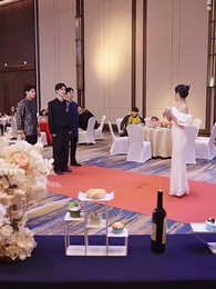 第36集 - 錦鯉萌寶助我成傳奇