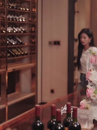 Divorced Her Husband: She Took the World by Storm - Episode 6