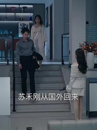 第2集 - 親愛的翻譯官小姐