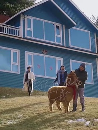 想你似風路過我 - Episode 34