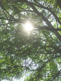 Episode 8 - Gefangen im Körper einer verlassenen Luna