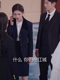 第23集 - 親愛的翻譯官小姐