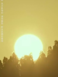 第13集 - 我本良善非惡徒