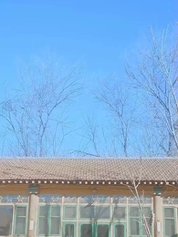 第3集 - 你好,我叫許星月