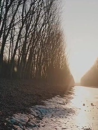 你好，我叫許星月 - Episode 31