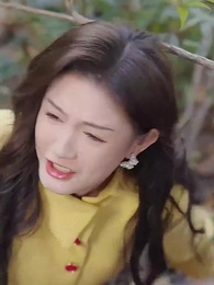 第41集 - 親愛的翻譯官小姐